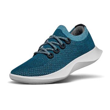 Aqua Men's Allbirds Tree Dasher 1 Running Shoes | IL1163TC