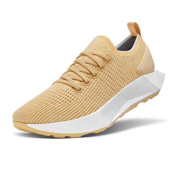 Beige Men's Allbirds Tree Flyers Running Shoes | IL1181DF