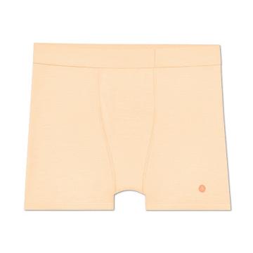 Brown Men's Allbirds Trino® Boxer Brief Underwear | IL1272MQ