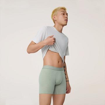 Green Men's Allbirds Trino® Boxer Brief Underwear | IL1274BE
