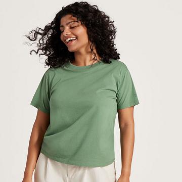 Green Women's Allbirds Allgood Cotton T Shirts | IL1746ZU