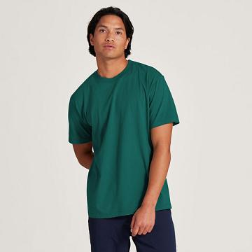 Turquoise Men's Allbirds Allgood Cotton T Shirts | IL1298MQ