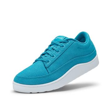 Turquoise Men's Allbirds Canvas Pacers Sneakers | IL1002PJ