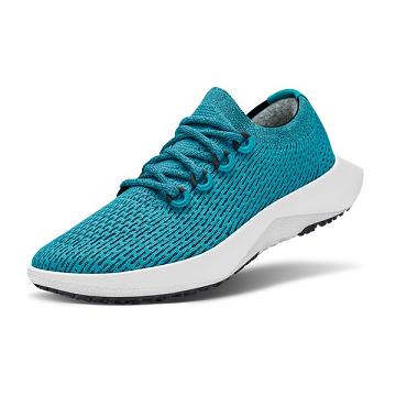 Turquoise Men's Allbirds Tree Dasher 2 Running Shoes | IL1188YX