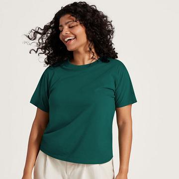 Turquoise Women's Allbirds Allgood Cotton T Shirts | IL1748KO