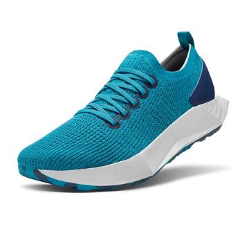 Turquoise Women's Allbirds Tree Flyers Running Shoes | IL1602IL